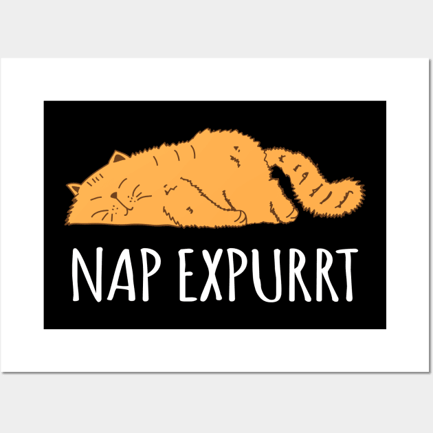 Nap Expert Wall Art by sqwear